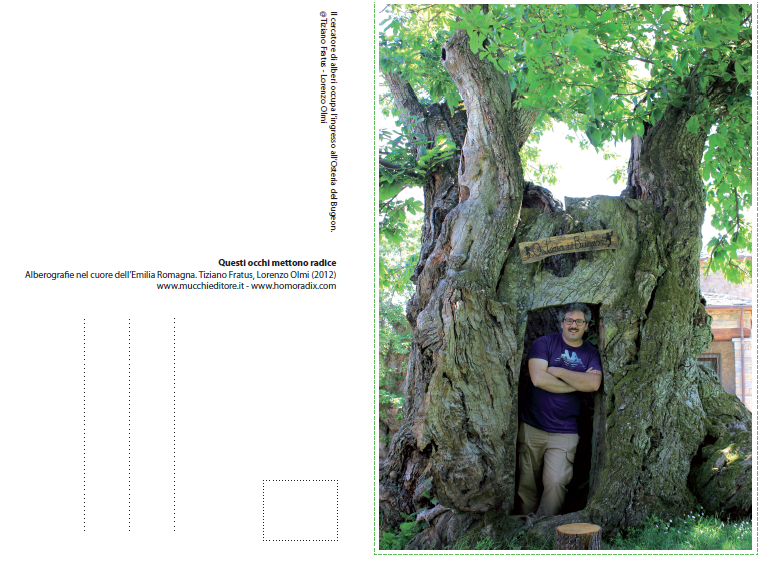 ALBERODONTI D’ITALIA IN LAVORAZIONE