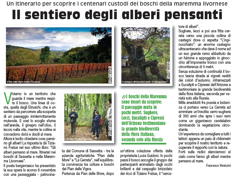 Articolo su Costa degli Etruschi, dicembre 2011