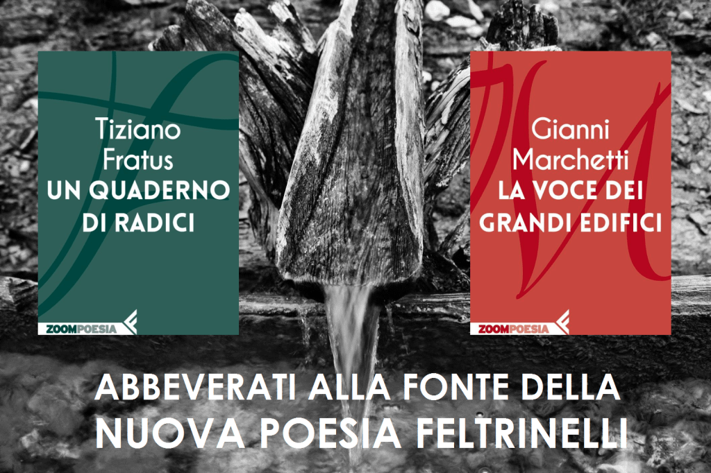 Abbeverati alla fonte della&nbsp;NPF