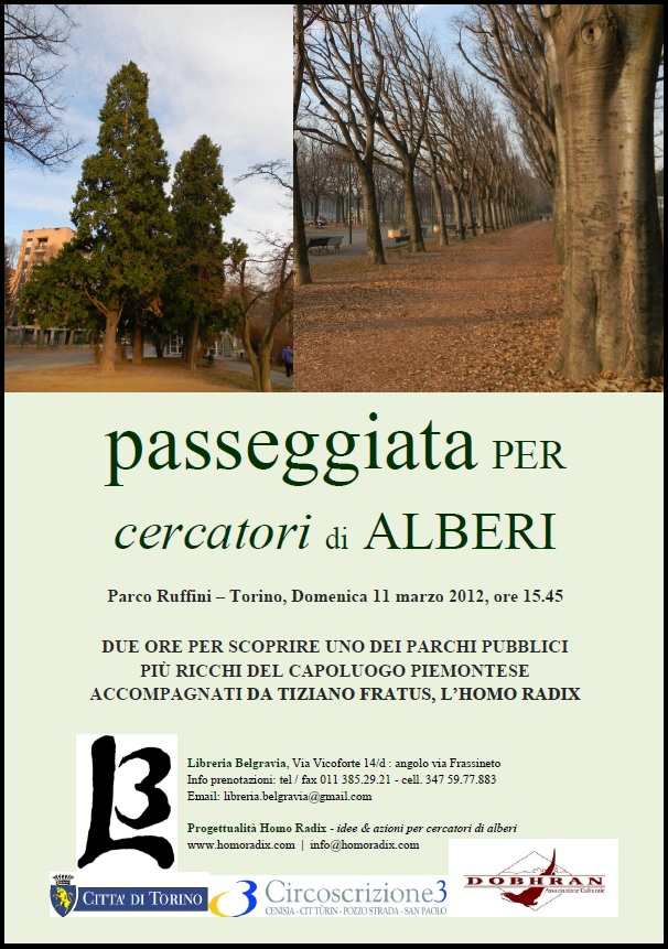 Locandina, Passeggiata per cercatori di alberi al Parco Ruffini - Torino