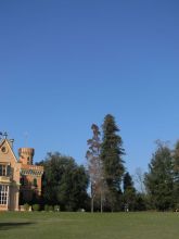 Sequoie secolari del nord-ovest d'Italia - Sant'Olcese, parco di Villa Serra