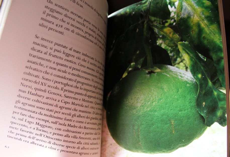 “Raccontare la terra, la terra si racconta” dal 5 all’8&nbsp;giugno