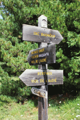 Visita al Bosco dell'Allevé - Direzione...