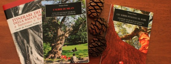 Premio per i vincitori - Libri e coni di sequoia gigante