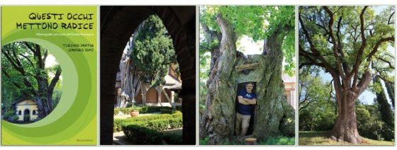 Cartoline di Questi occhi mettono radice - Quattro spicchi del paradiso Made in Emilia Romagna