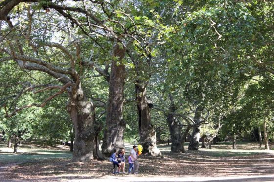 Valle dei Platani, Parco di Villa Borghese a Roma