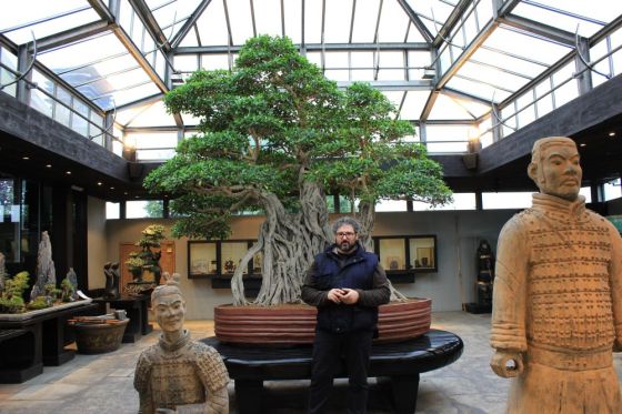 fratus_bonsaimillenario_crespibonsaimuseum_2012