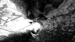 questiocchimettonoradice_booktrailer