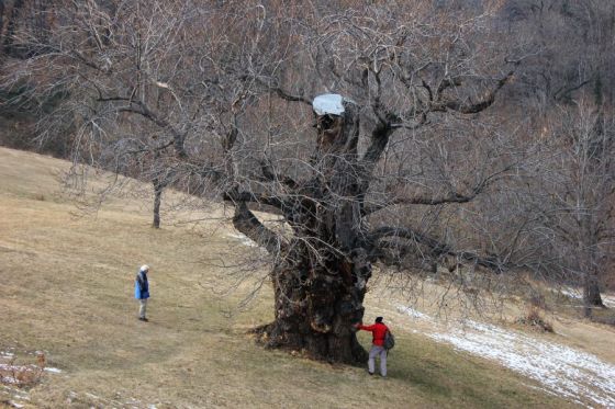 visita17febbraio2013_fratus_1