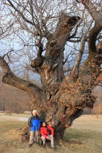 visita17febbraio2013_fratus_2