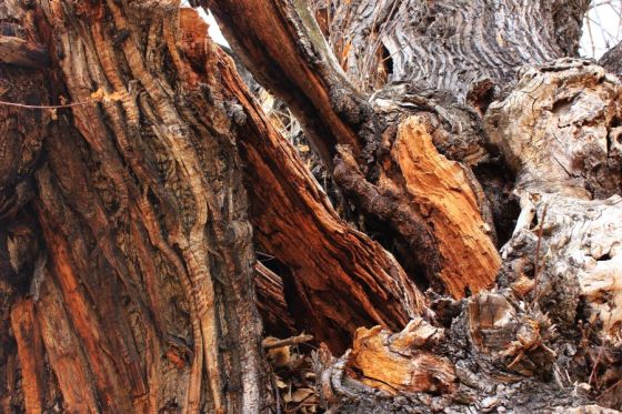 visita17febbraio2013_fratus_4