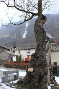 visita17febbraio2013_fratus_6