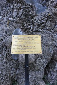 visita17febbraio2013_fratus_7