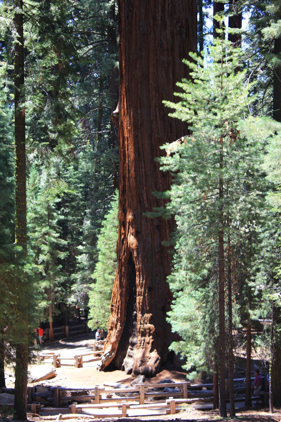 generalsherman_fratus_2013