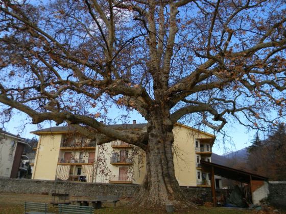 giona_luserna_fratus