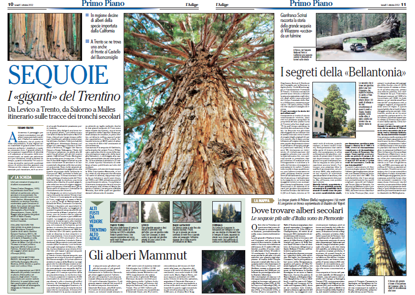 paginonesequoie_ladige_1ottobre2012
