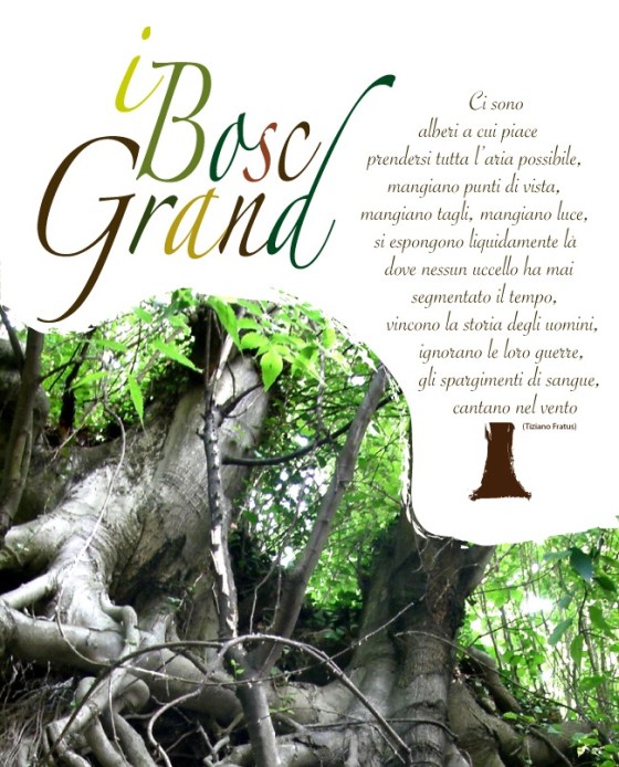 boscgrand_sito