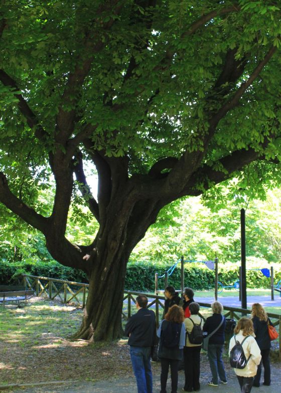 passeggiataparcoleopardi_2013