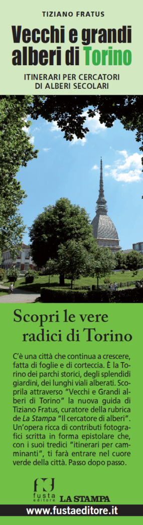 segnalibrofusta_fratus_a