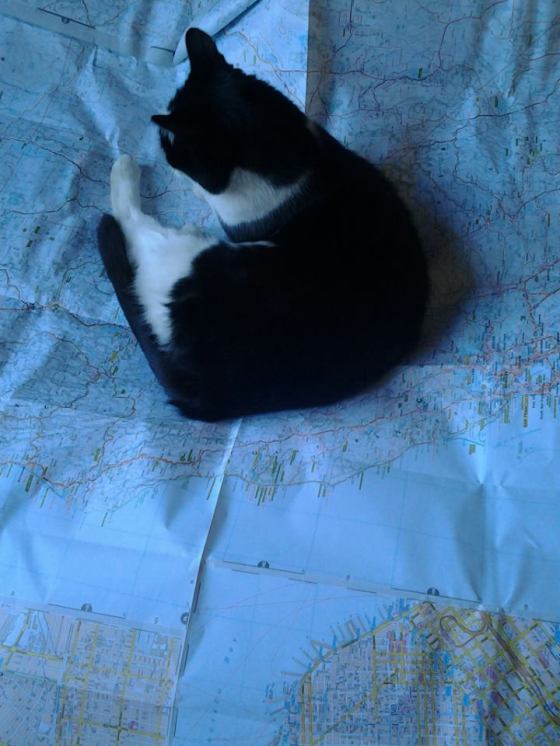 stromboli_california