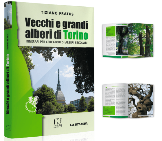 vecchiegrandialberiditorino