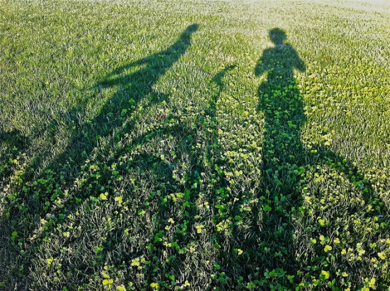 7995986737_83437417b4_z