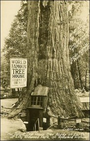 !B,!7Wbw!2k~$(KGrHgoH-CwEjlLluz7qBKpeHqhLU!~~_12