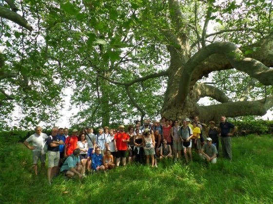 Biciclettata pensante 2013 | Foto di gruppo sotto le fronde di uno dei due grandi platani al Campo dei Miracoli.
