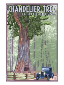 chandelier_homoradix_1