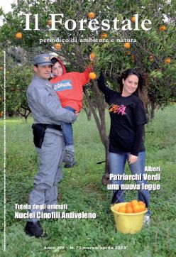 Forestale_73_2013