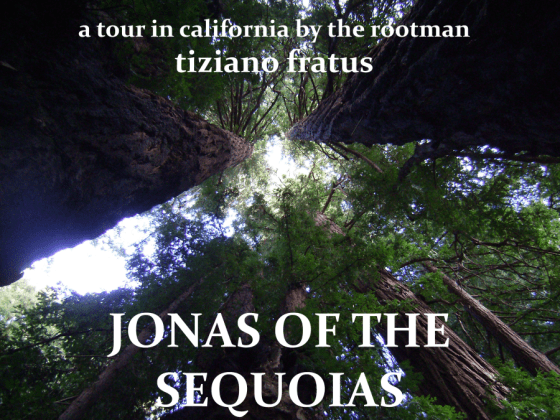 jonasofthesequoiastour_redux