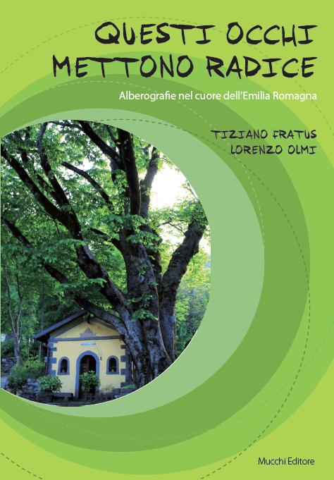 questiocchimettonoradice