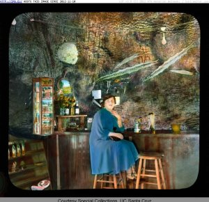 redwood-highway-california-fraternal-monarch-quadruped-tree-in-lilley-redwood-park-interior-gift-shop-1920-1940-1516