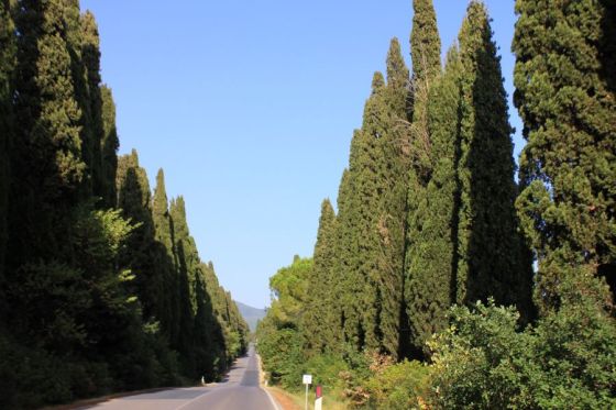 bolgheri_vialedeicipressi_fratus_lastampa