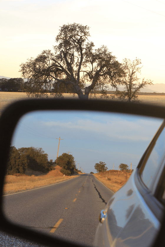 fratus_travel_california_2013_redux