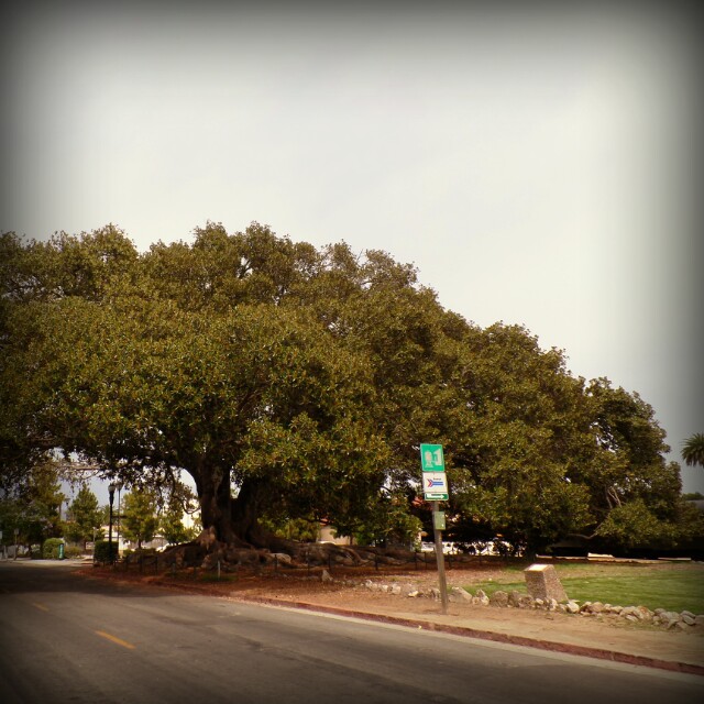 Da Santa Barbara&nbsp;2