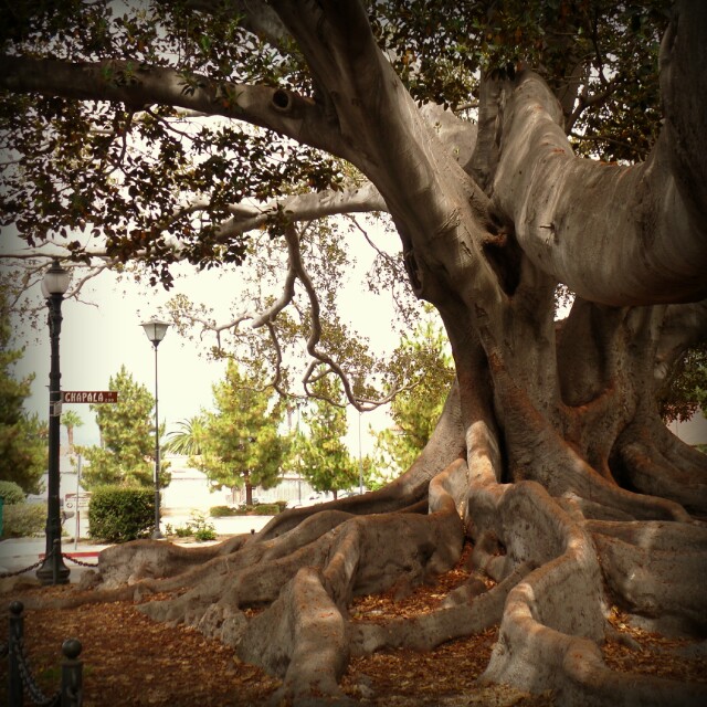 1372853145191.jpg image