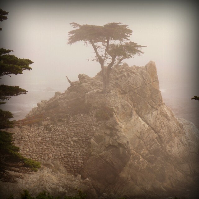 Il Solitario di Pebble&nbsp;Beach