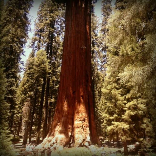 1373941879357.jpg image