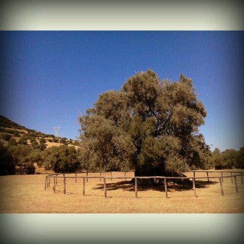 1375285243076.jpg image