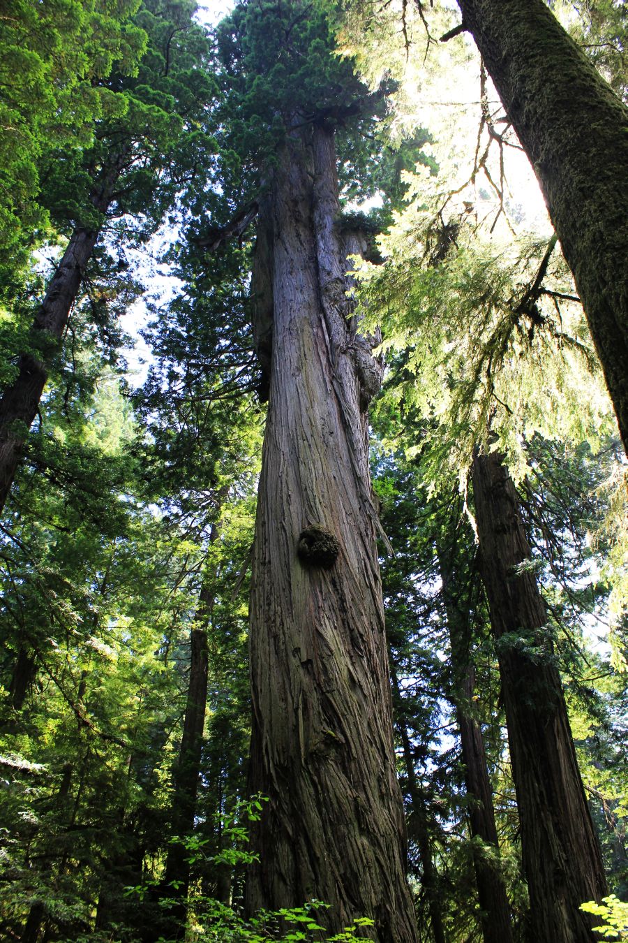 Intervista a Michael&nbsp;Taylor