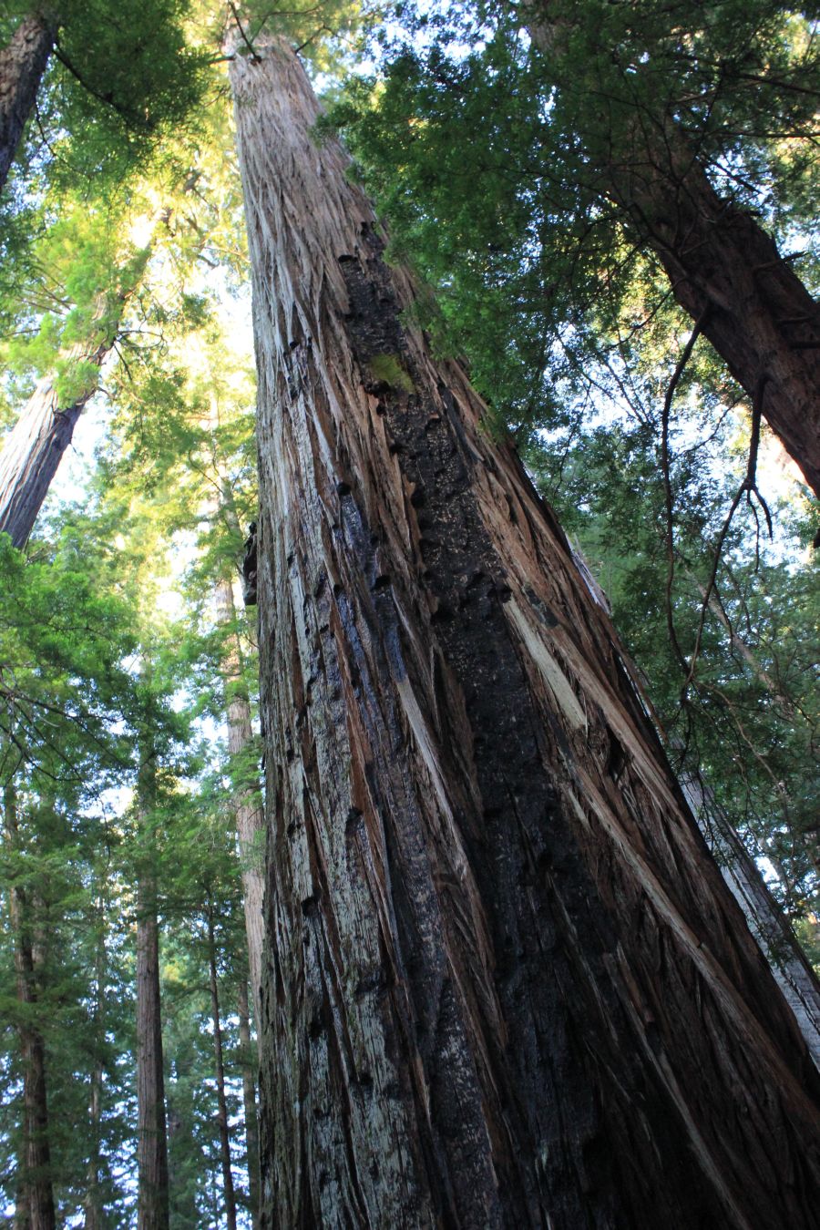 Quarto speciale su «La&nbsp;Stampa»