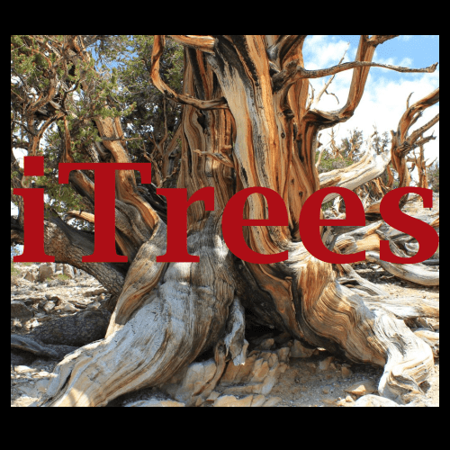 itrees_logo
