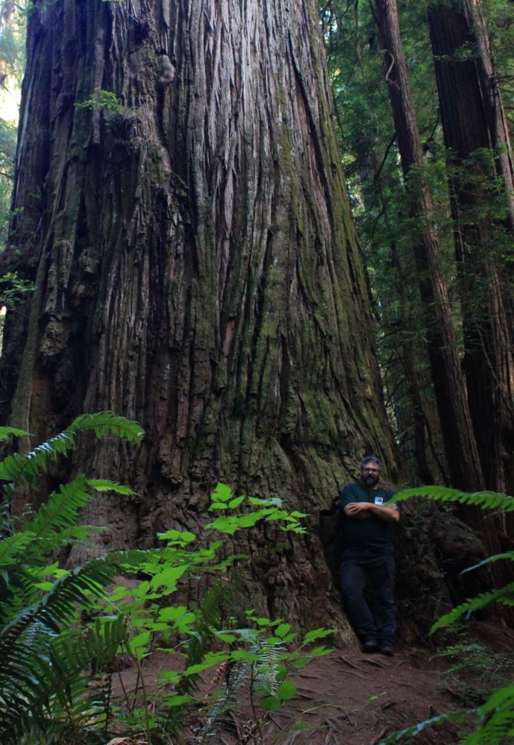 jedediah_fratus_2013_dettaglio_redux