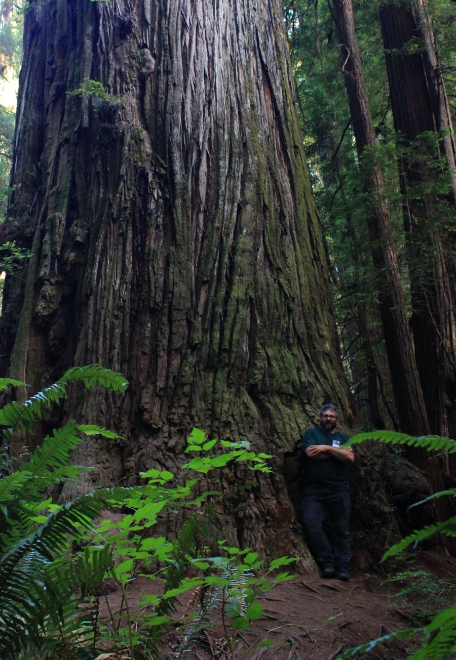 Venerdì lab alla Scuola di&nbsp;Econarrazione