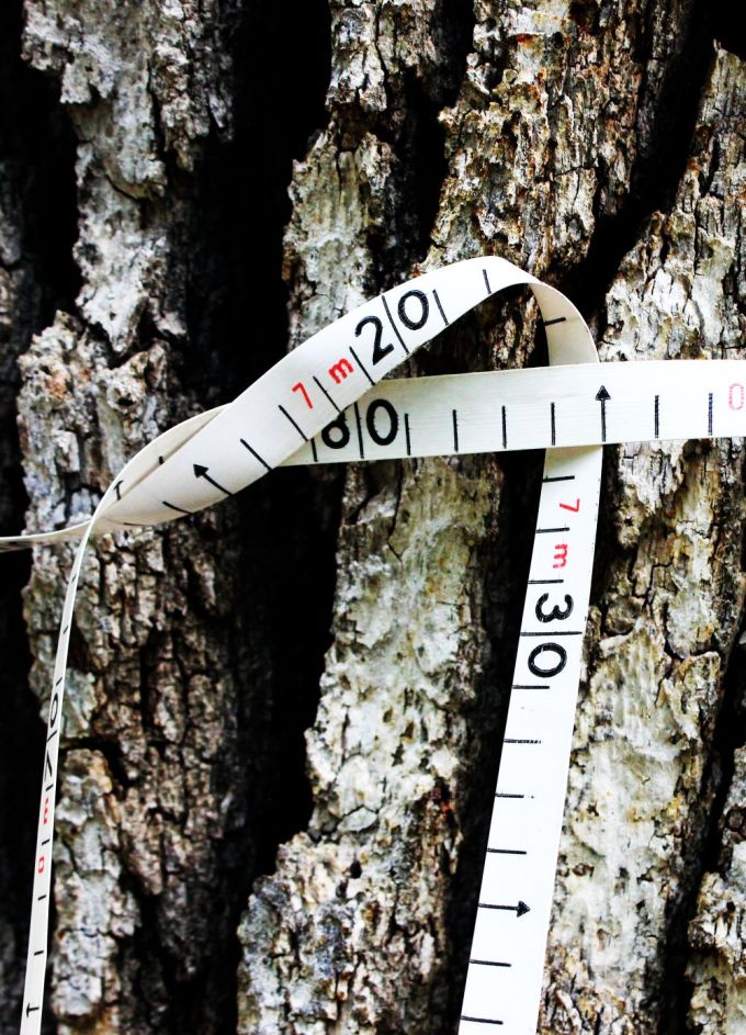 master_fratus_edizionideicammini_REDUX