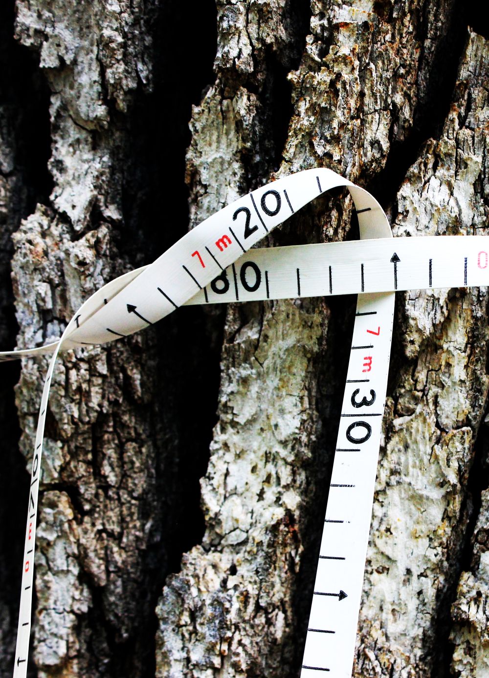 Criteri minimi di monumentalità – Finalmente l’allegato tecnico del&nbsp;CFS