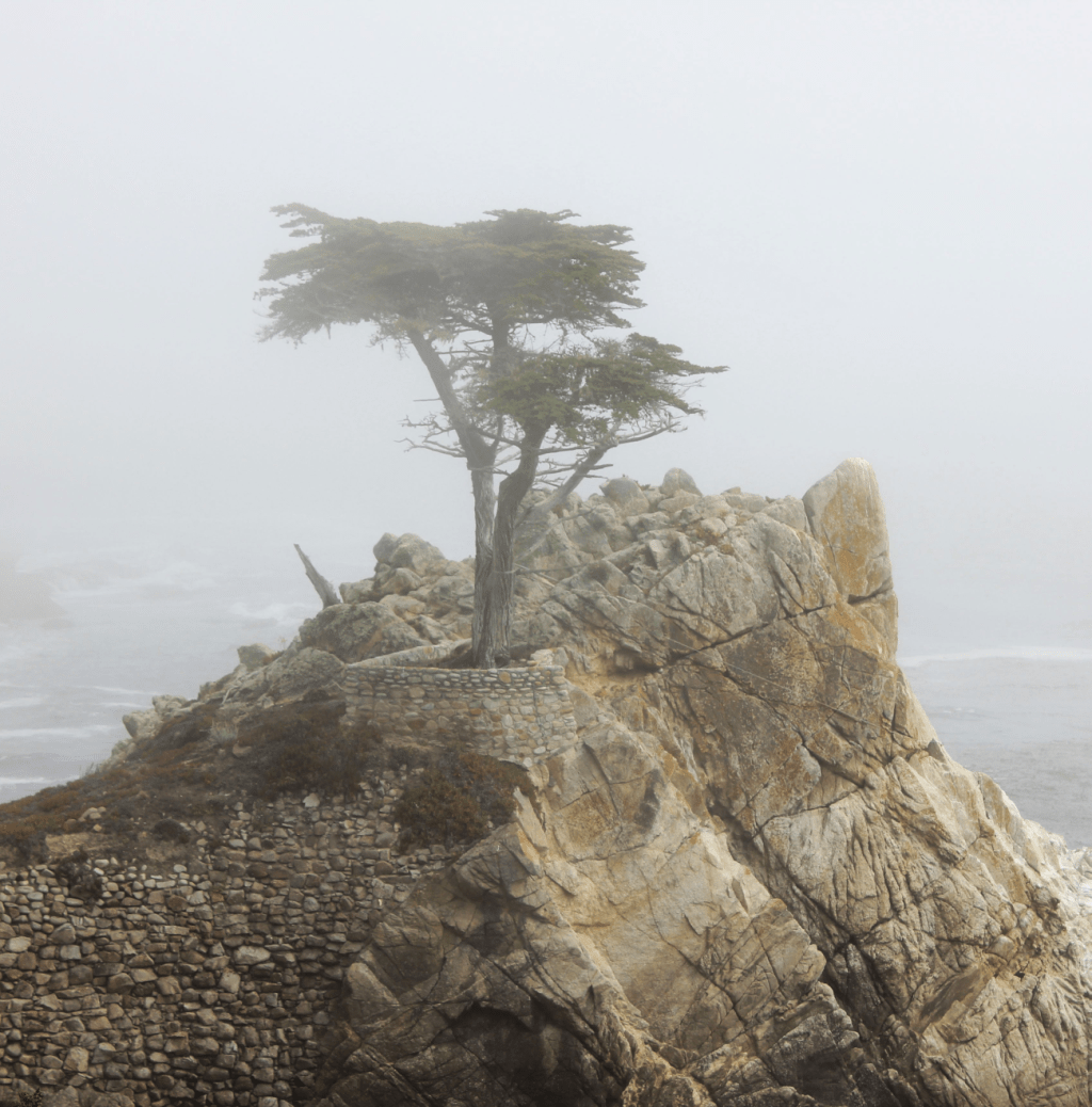 Speciali 3. Il solitario di Pebble&nbsp;Beach