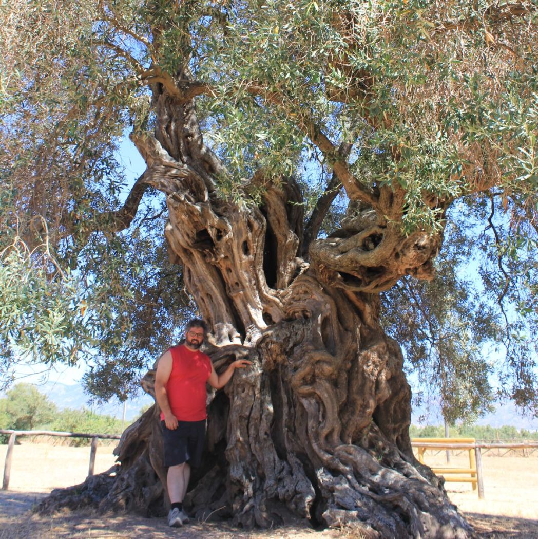 tizianofratus_sareina_2013_a