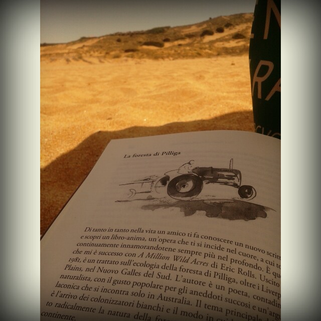 La foresta di Pilliga, lettura da&nbsp;spiaggia